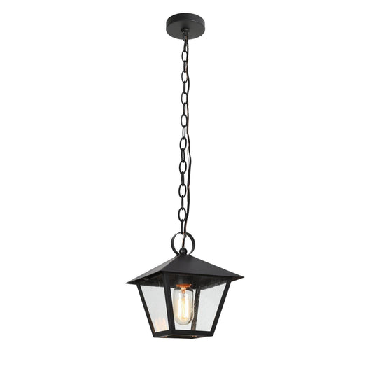 Nigracrata 1-Light Mini Black Outdoor Pendant Light