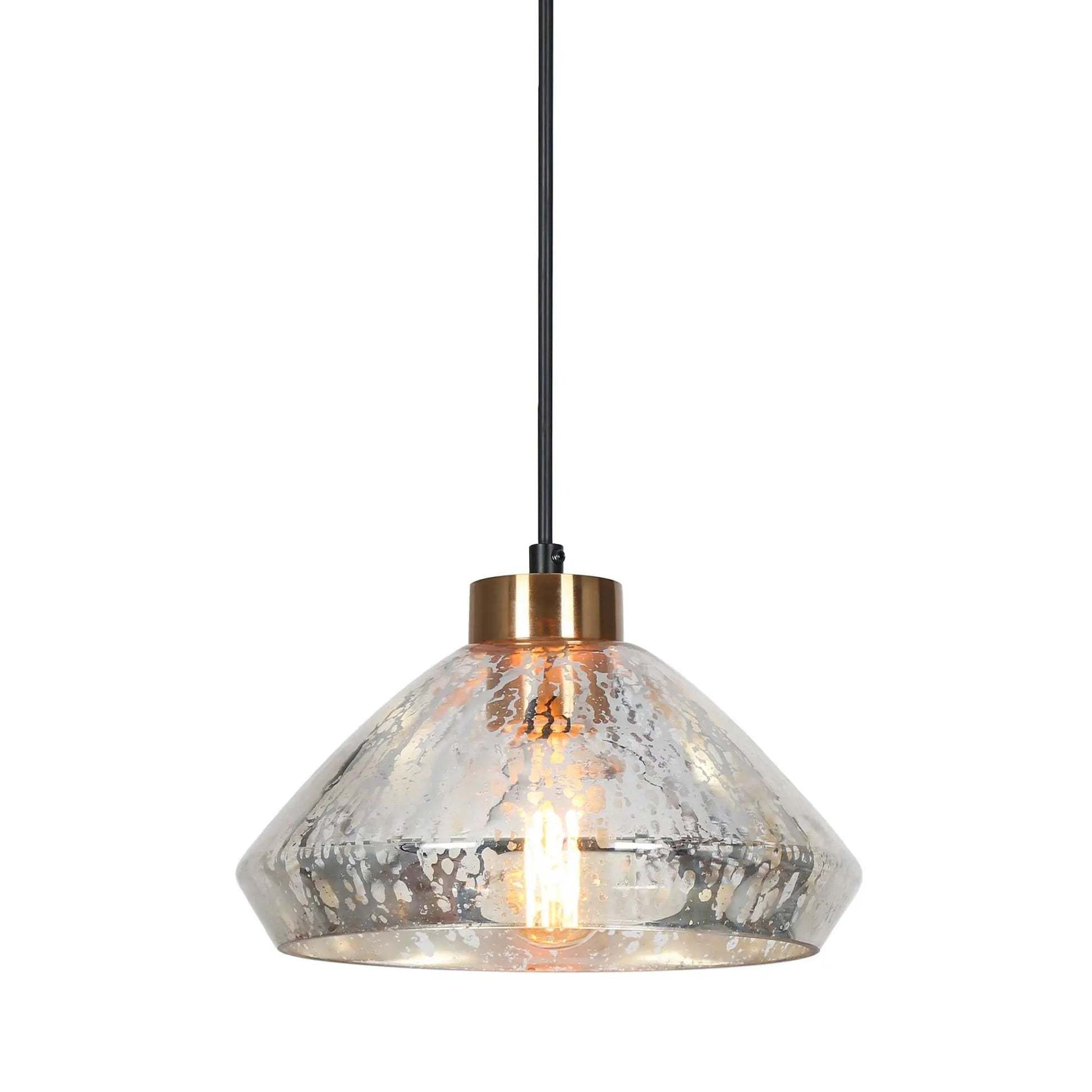 Anila 1-Light Pendant 169.99