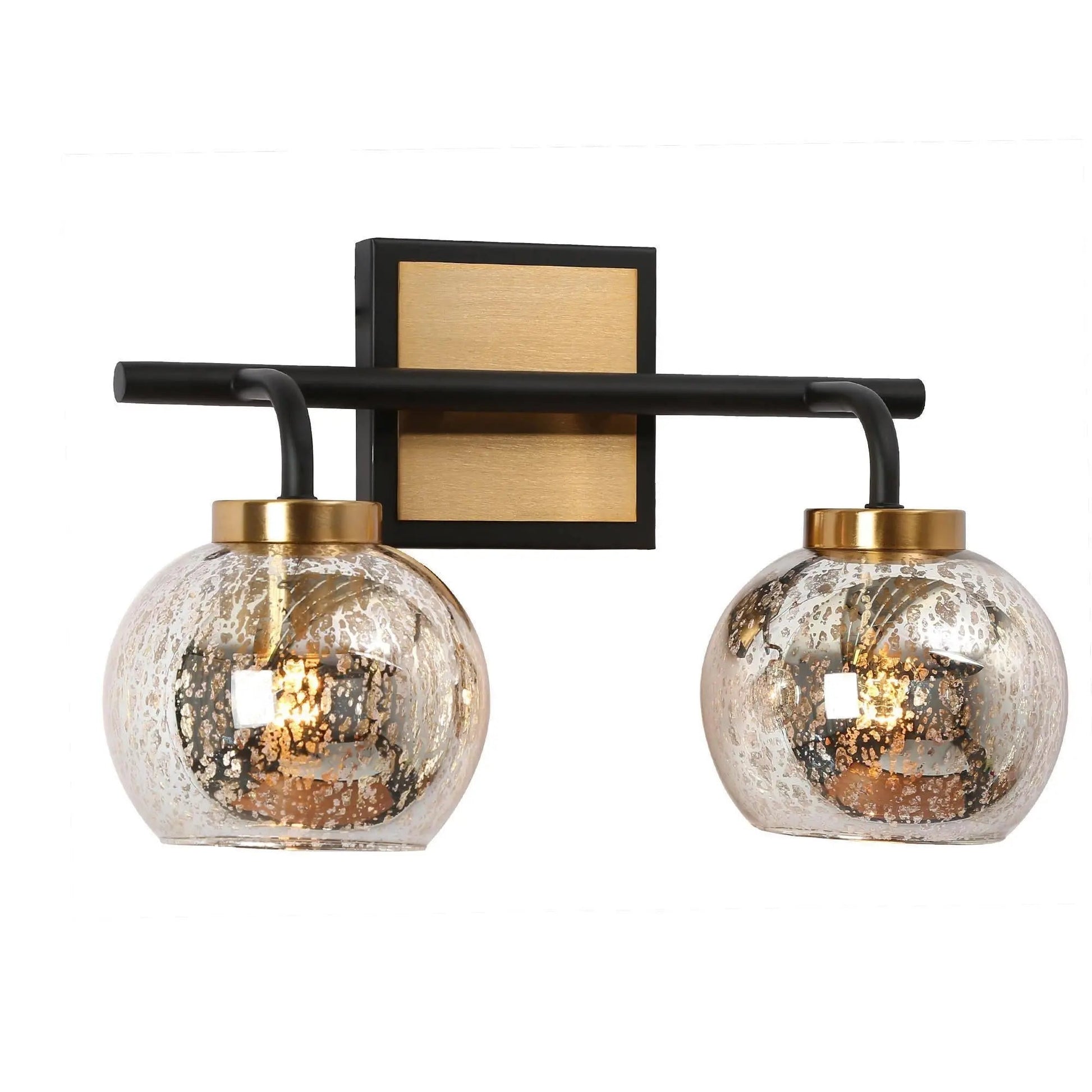 Rafflesia 2-Light Black and Brass Vanity Light