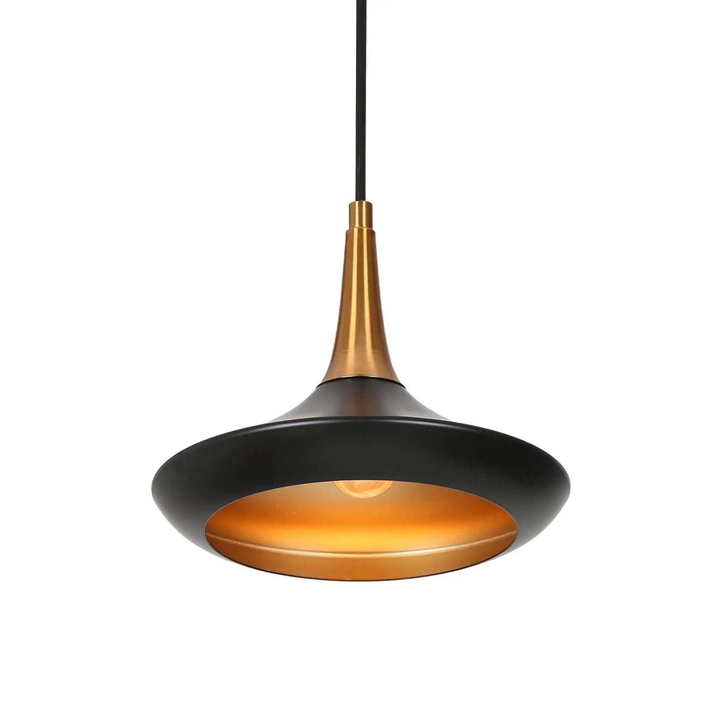 Pheme 1-Light Pendant 124.99