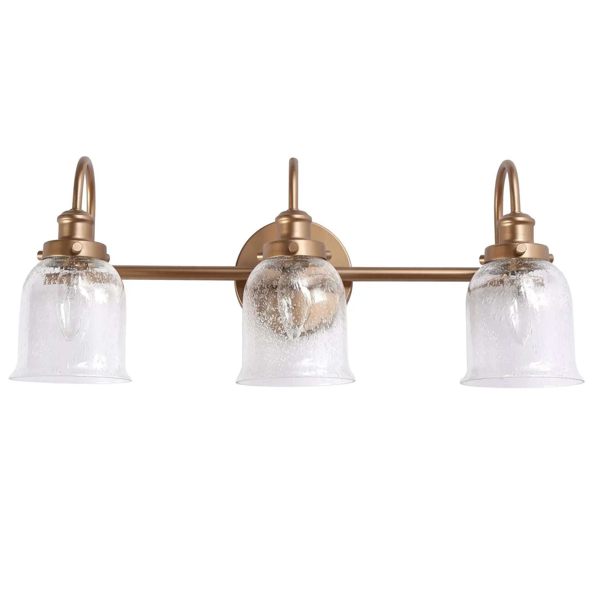 Sarracenia 3-Light Black and Brass Vanity Light