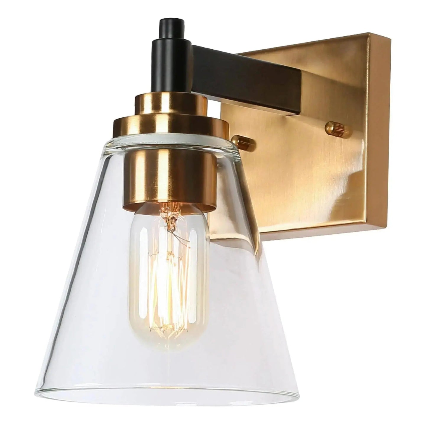 Temtocaxy 1-Light Modern Black & Gold Clear Glass Wall Sconces