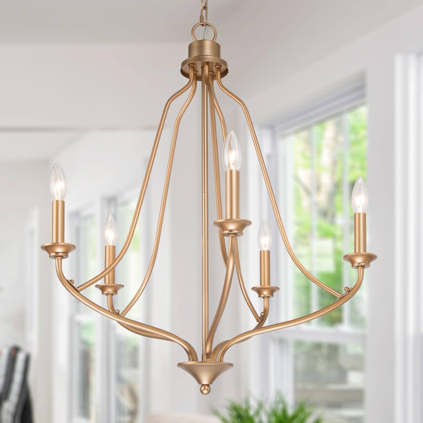 Barry 5-Light Medium Gold Chandelier