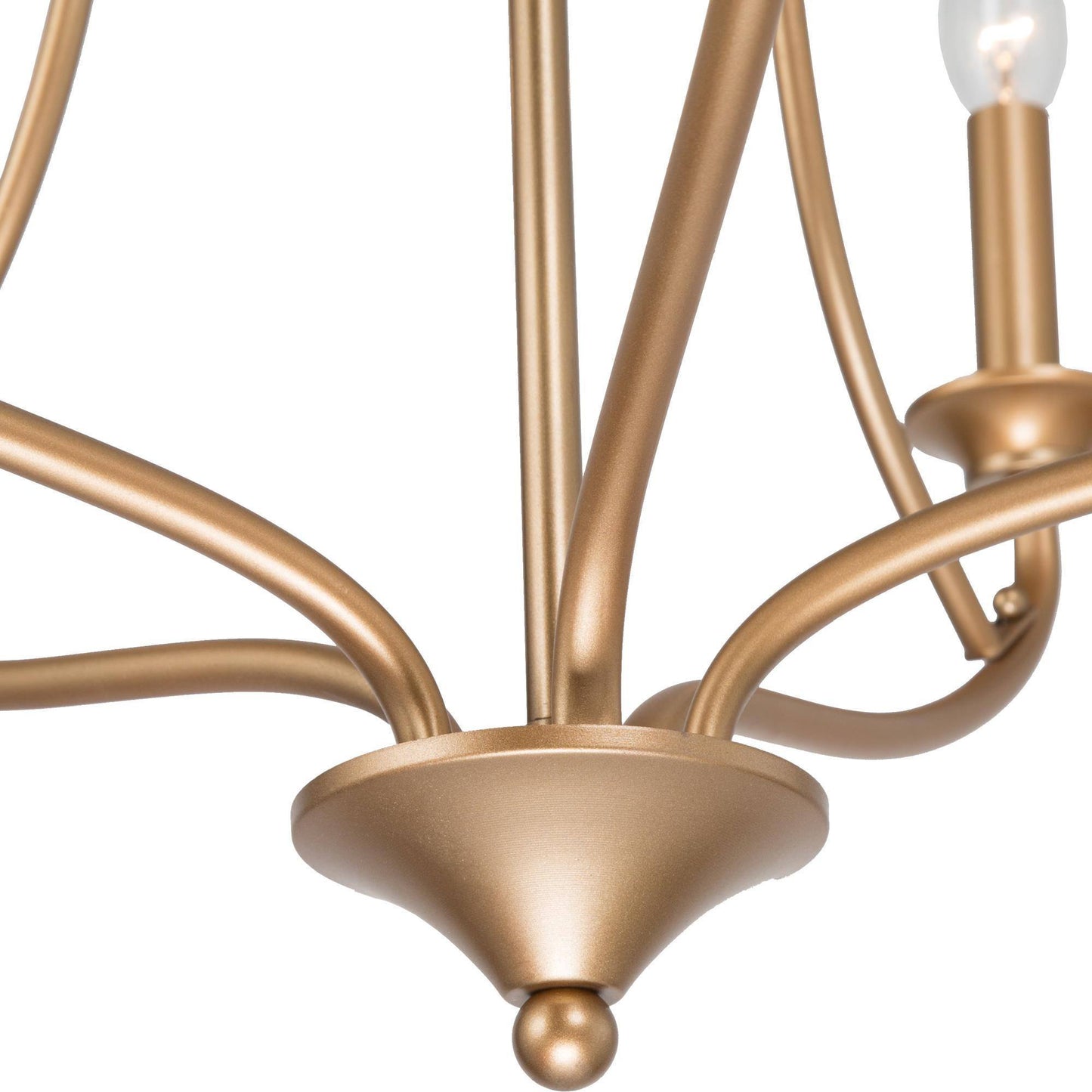 Barry 5-Light Medium Gold Chandelier