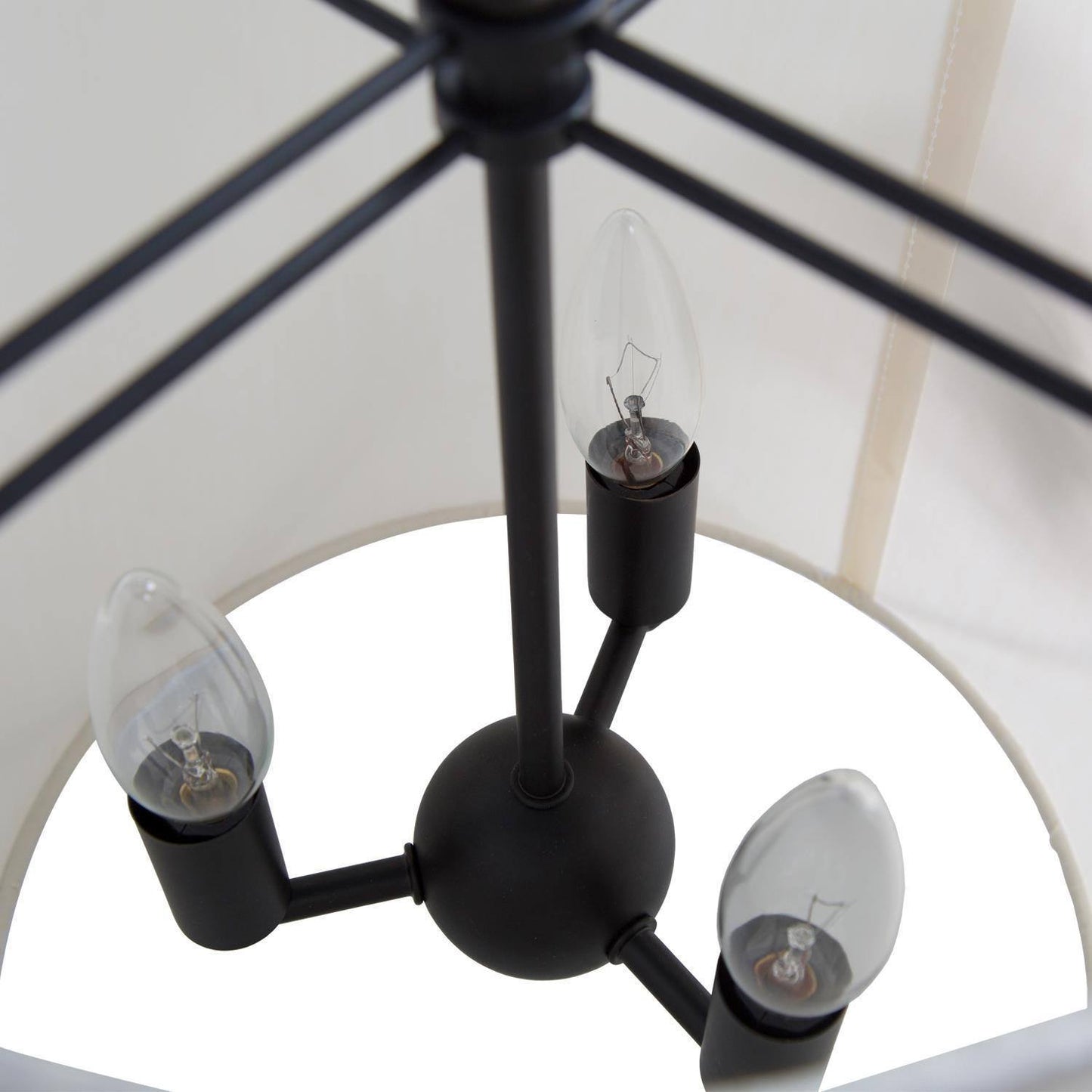 Halimeda 3-Light Mini Black Chandelier