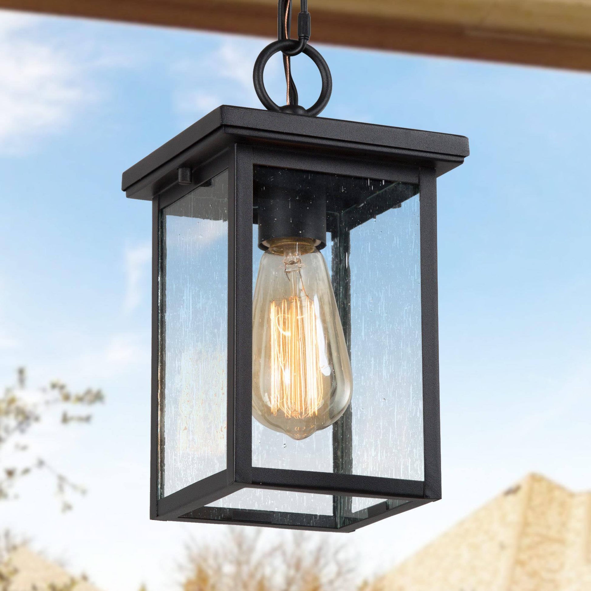 Mesonoxian 1-Light Mini Black Outdoor Pendant Light