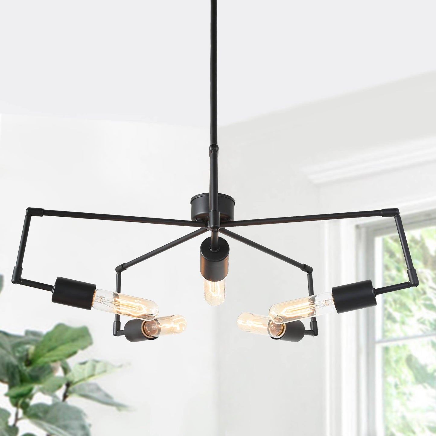 Cyphostemma 5-Light Medium Black Chandelier