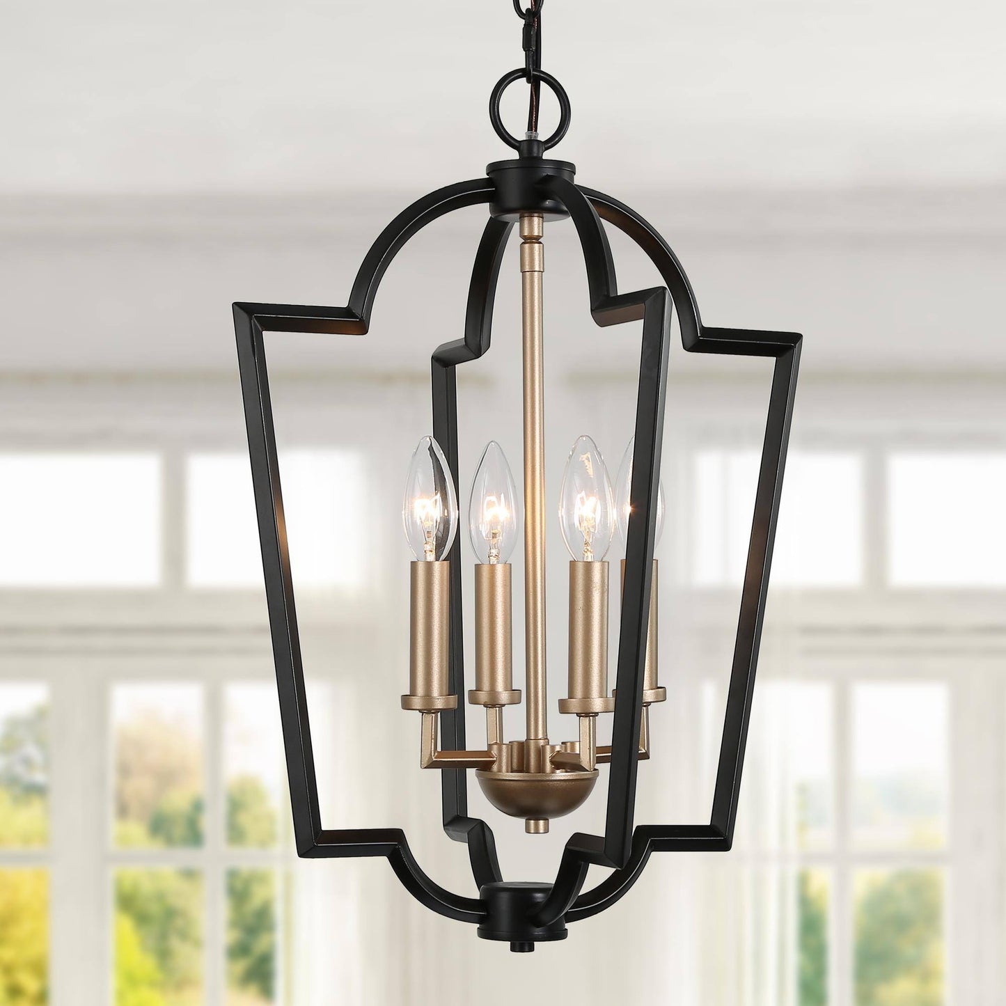 Dendrophylax 4-Light Small Black Chandelier