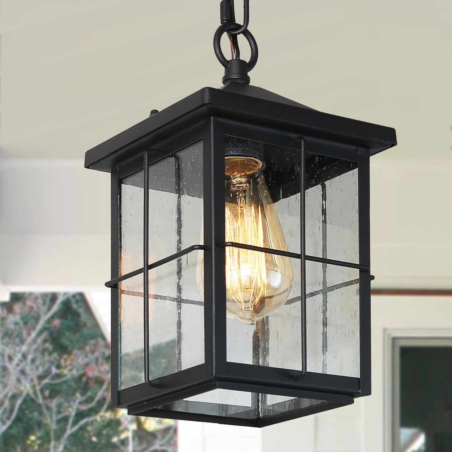 Bioeasdera 1-Light Mini Black Outdoor Black Pendant Light