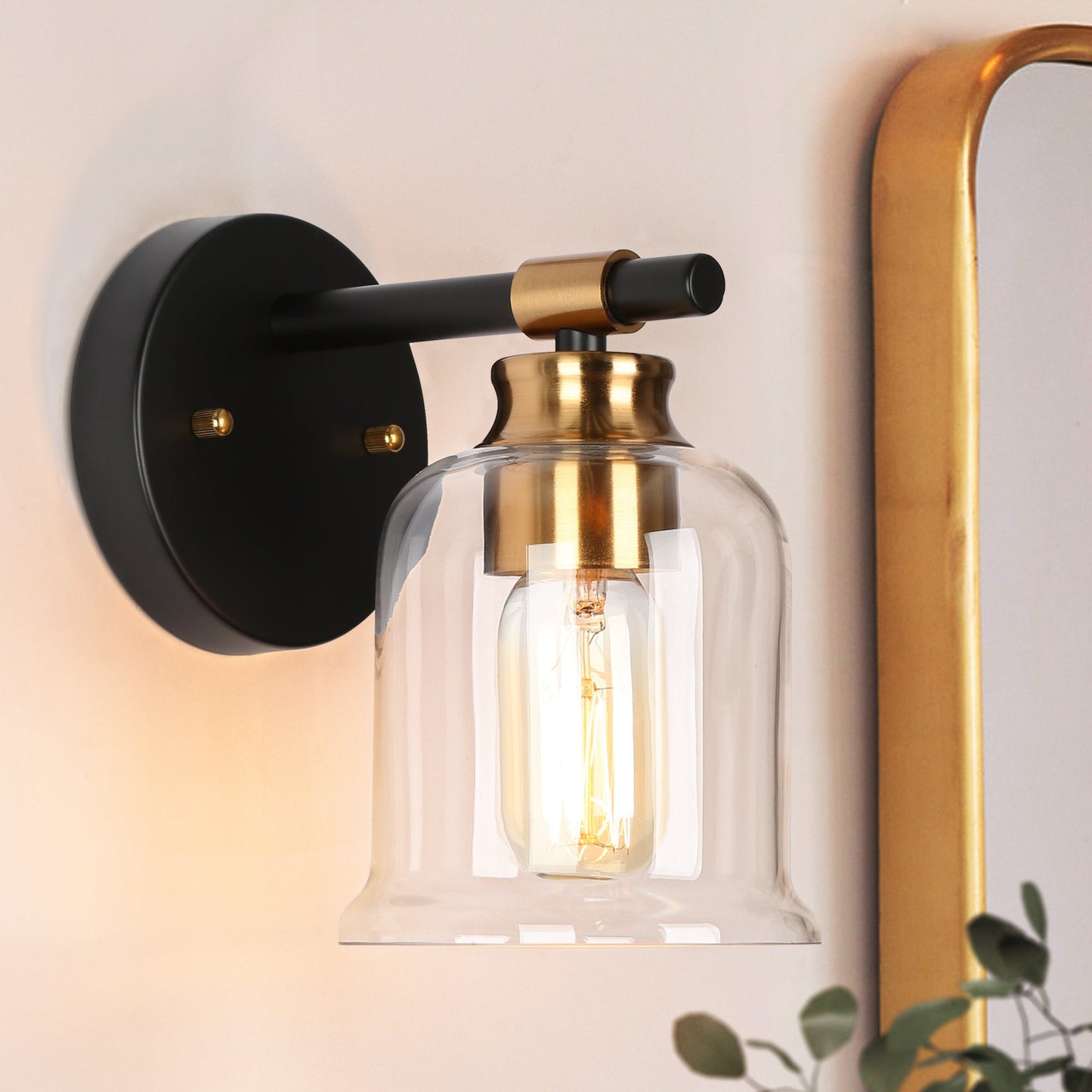 Chayote 1-Light Black and Brass Vanity Light