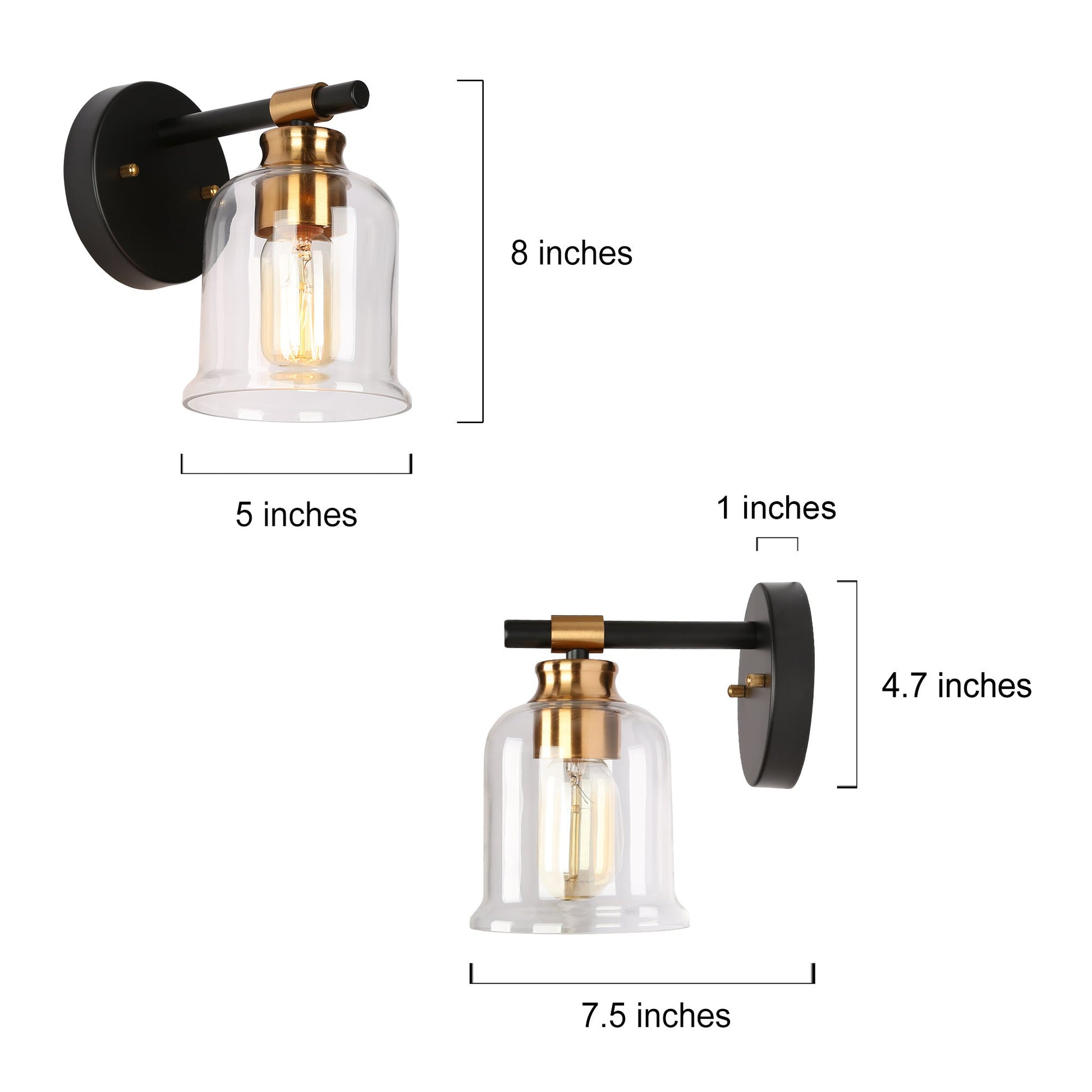 Chayote 1-Light Black and Brass Vanity Light