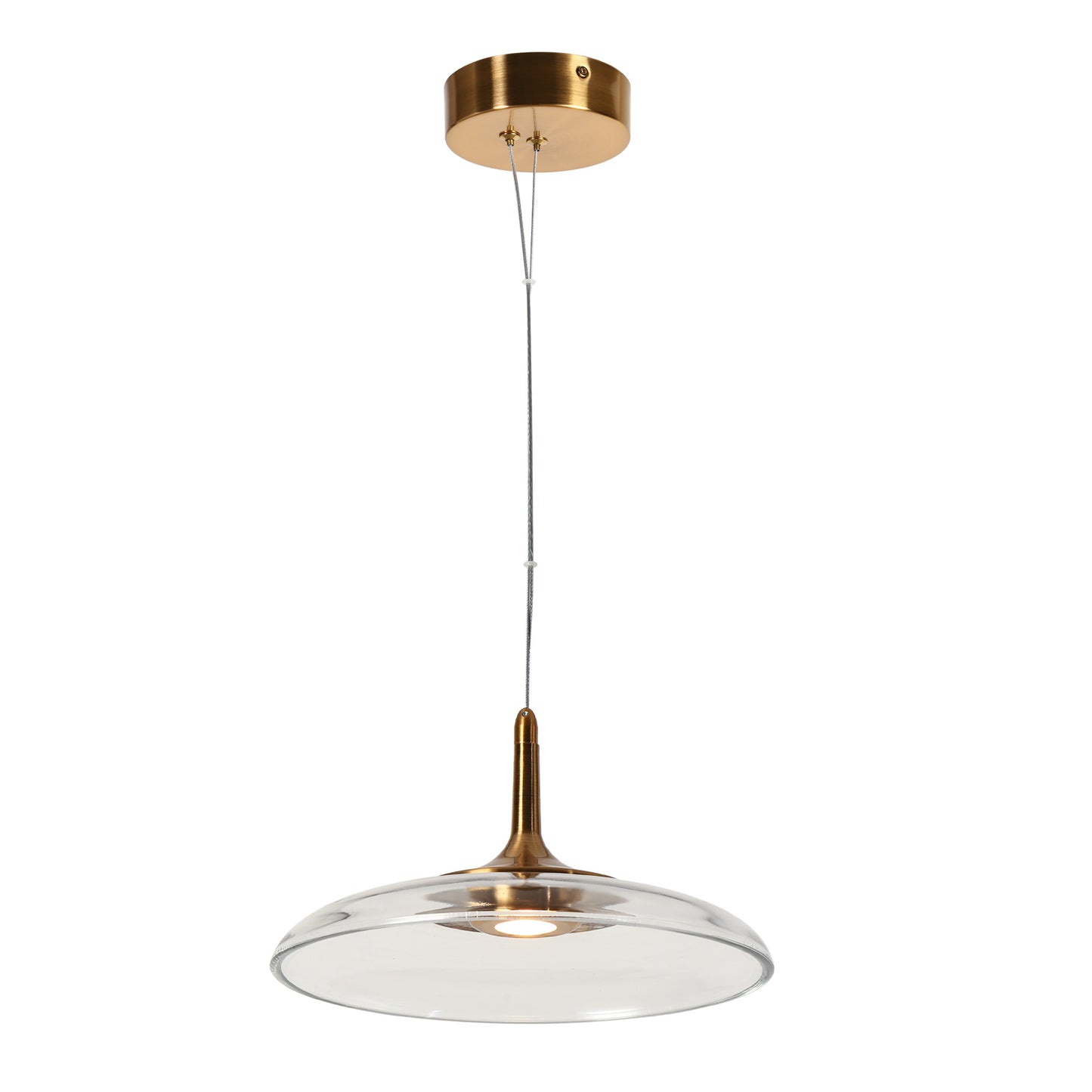 Modern 1-Light LED Gold Pendant Light with Clear Glass Disc Shade